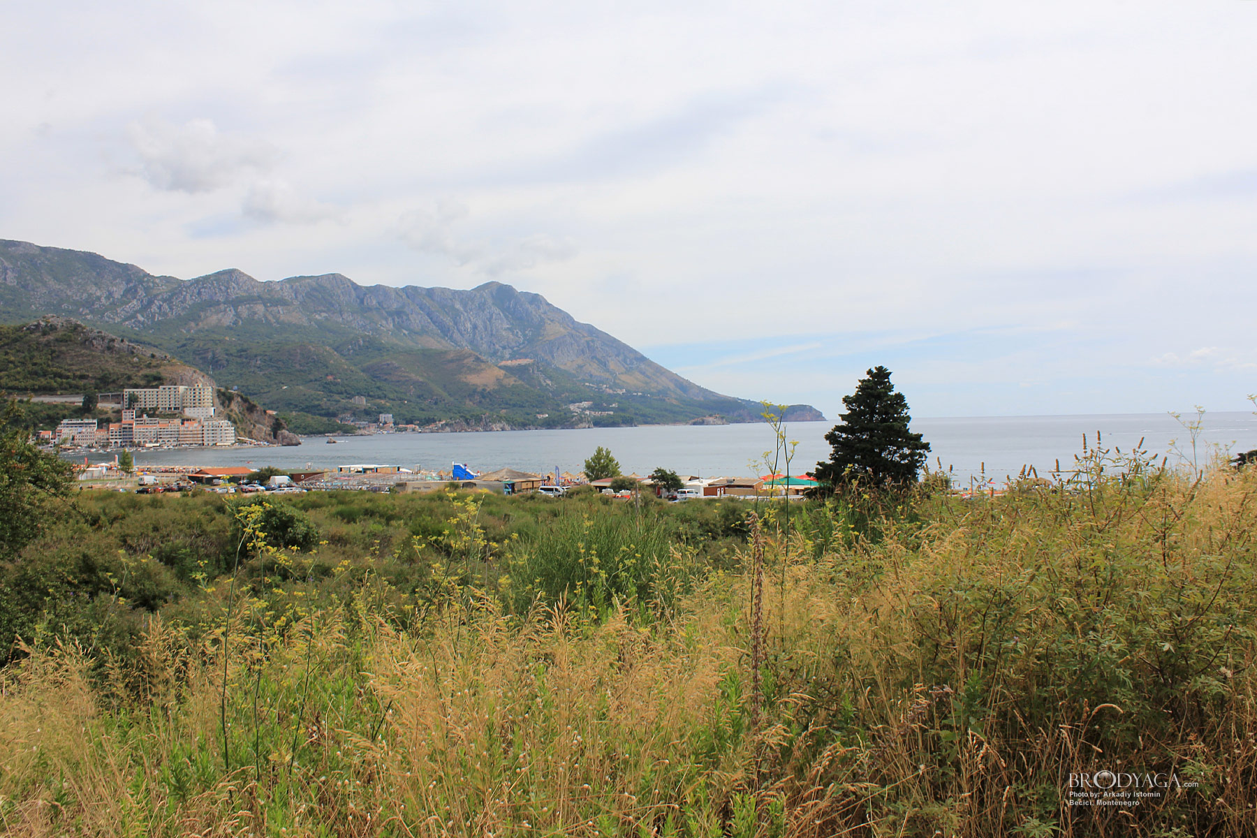 Becici